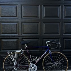 Trek 1220 Vintage 1994 Road Bike