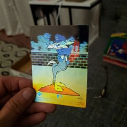 Wyle Coyote Hologram