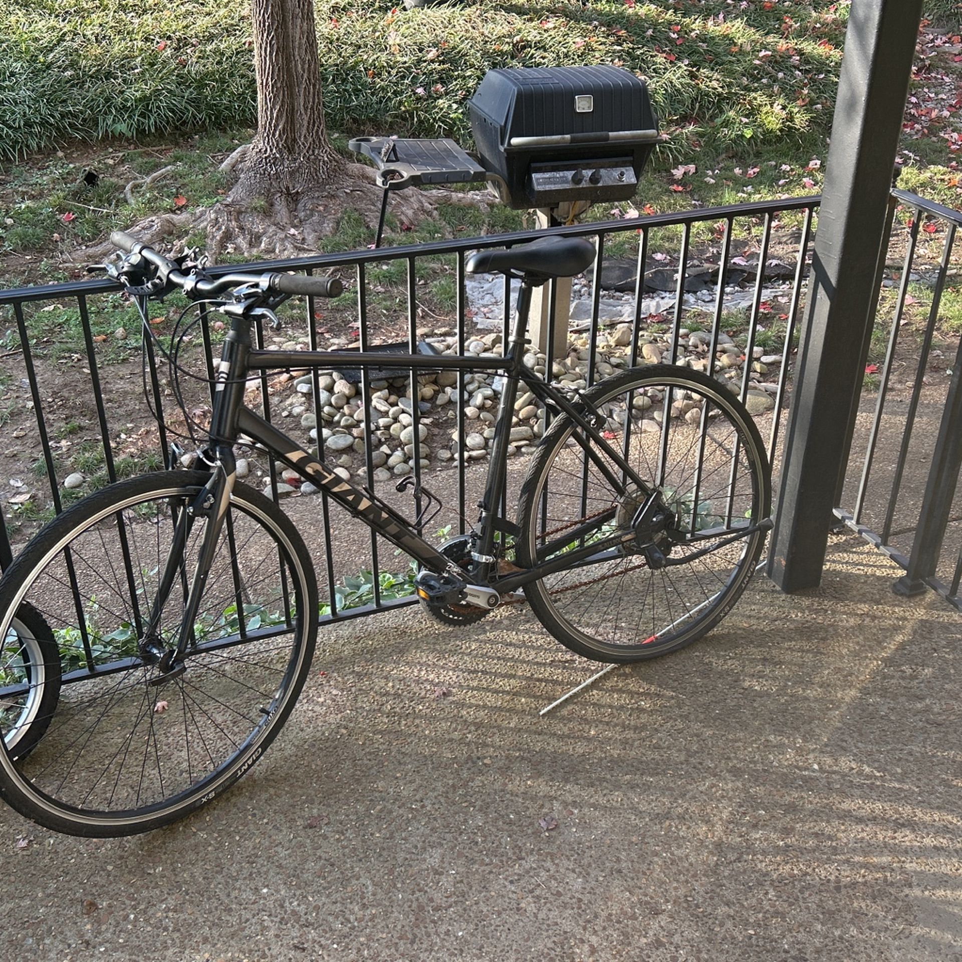 Giant Bike Size l