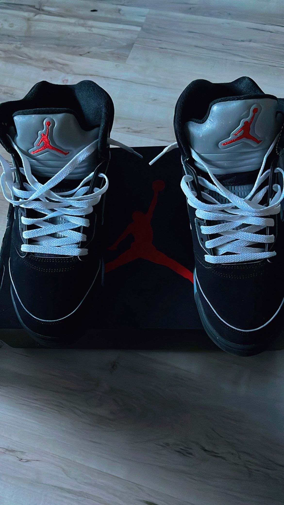 Jordan 5 Retro og Metallic