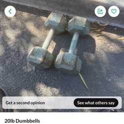 Dumb Bells 