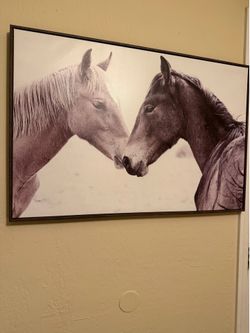 Wall art of a pair of horses 35.5x23.5”