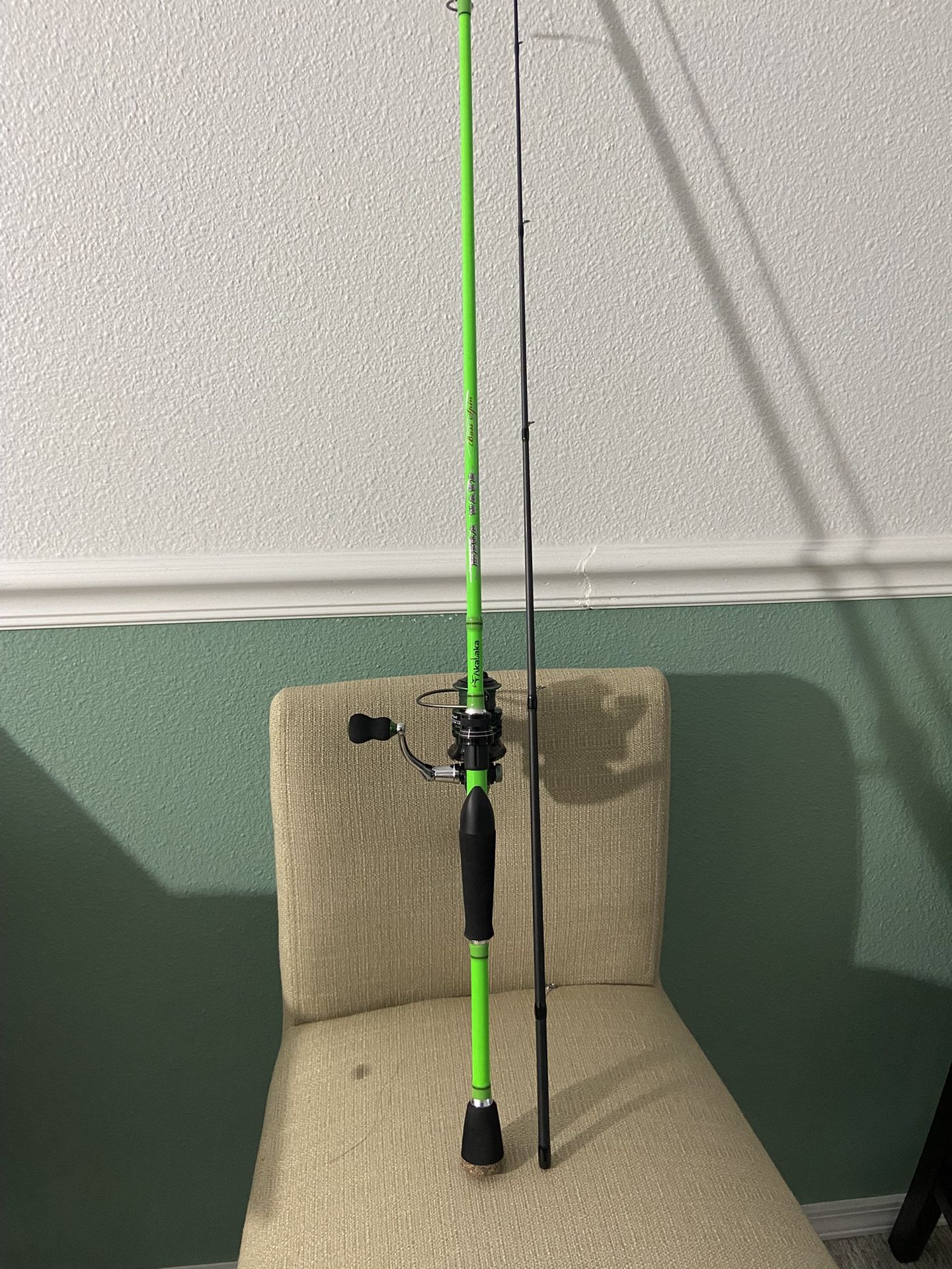 New Spinning Reel & Rod