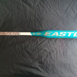 Easton Softball Bat 