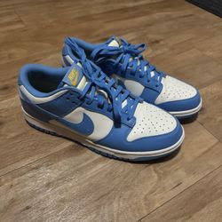 Nike Low Coast Dunks