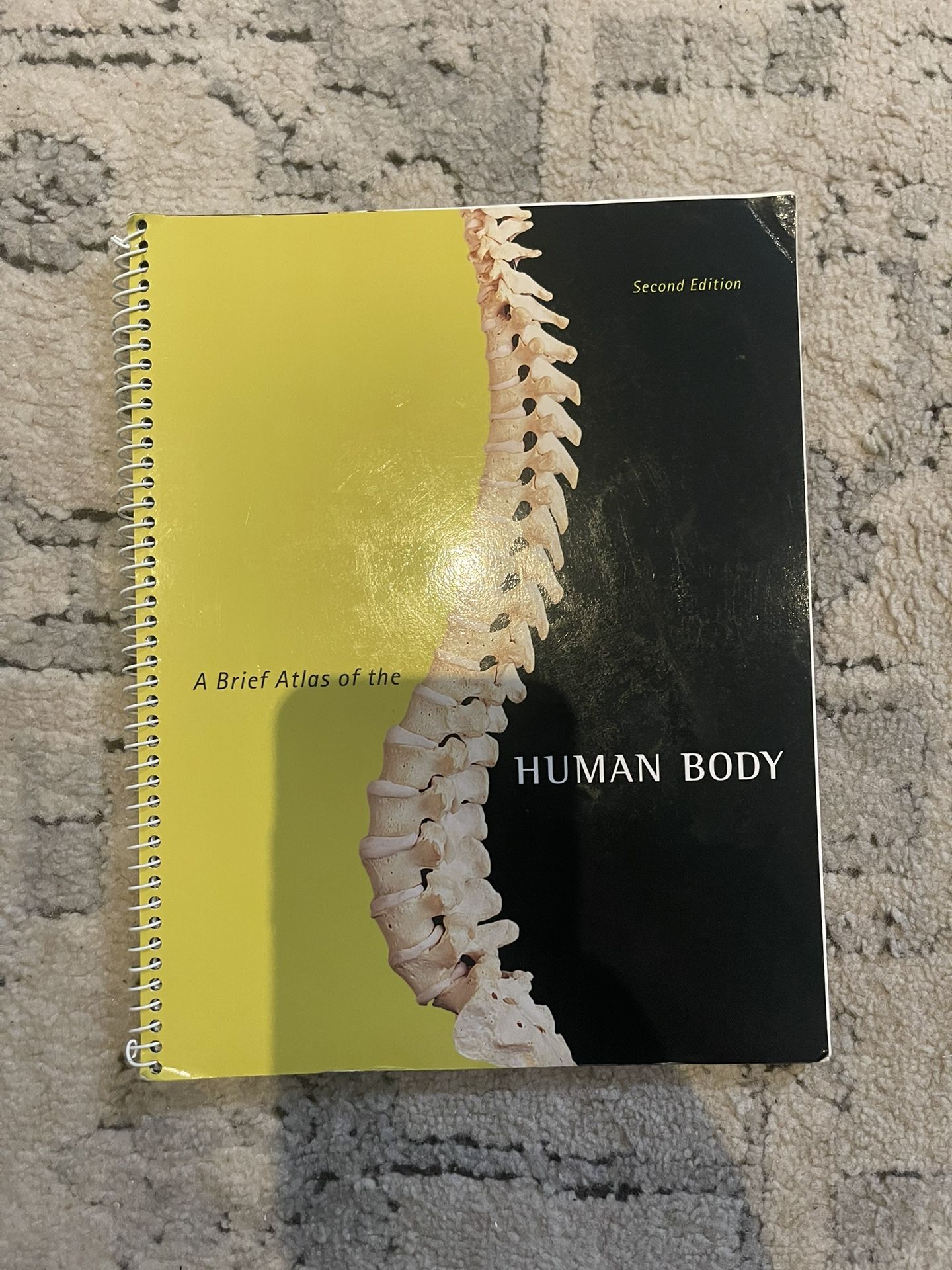 Human Body Atlas By Benjamin Cummings