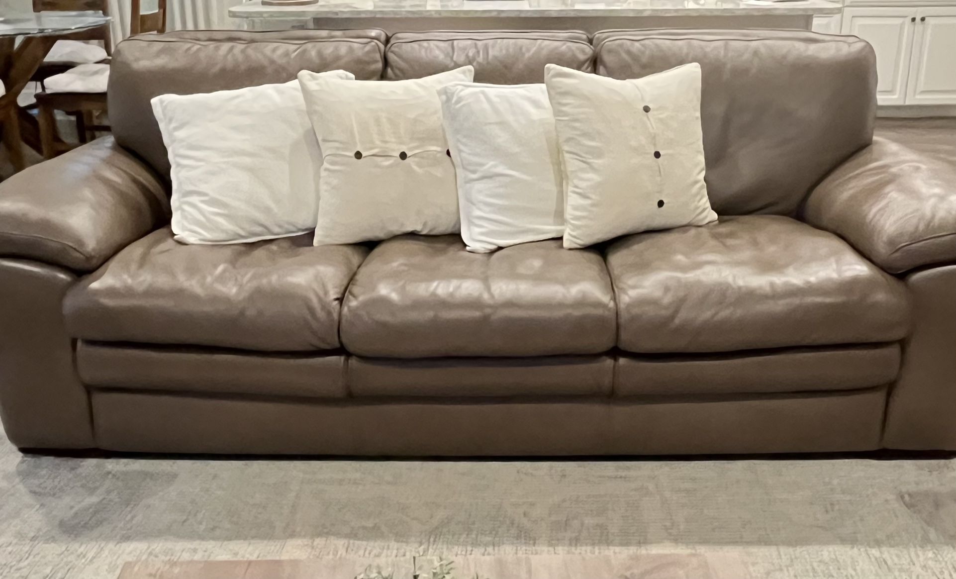 Leather Sofa