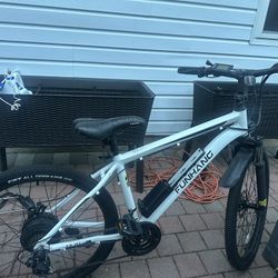 Electric Bike 