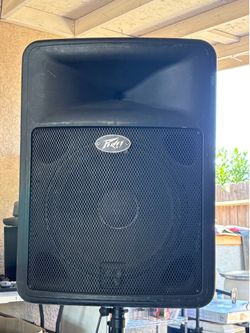 Peavey speaker size 15 asking $100