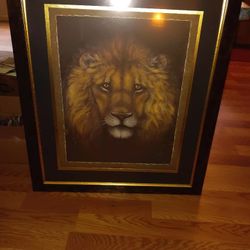 Lion Picture 