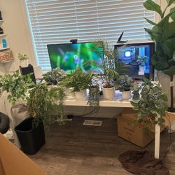 Fake Plants Room Decor