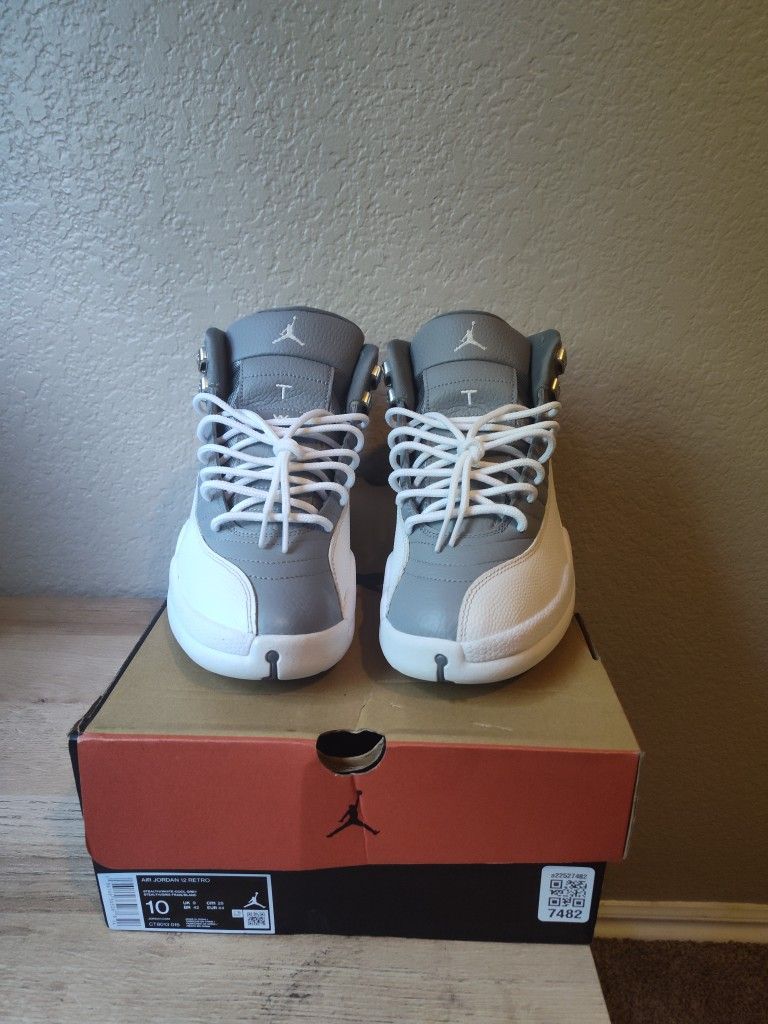 Jordan 12 Stealth