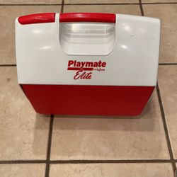 Free Igloo Cooler