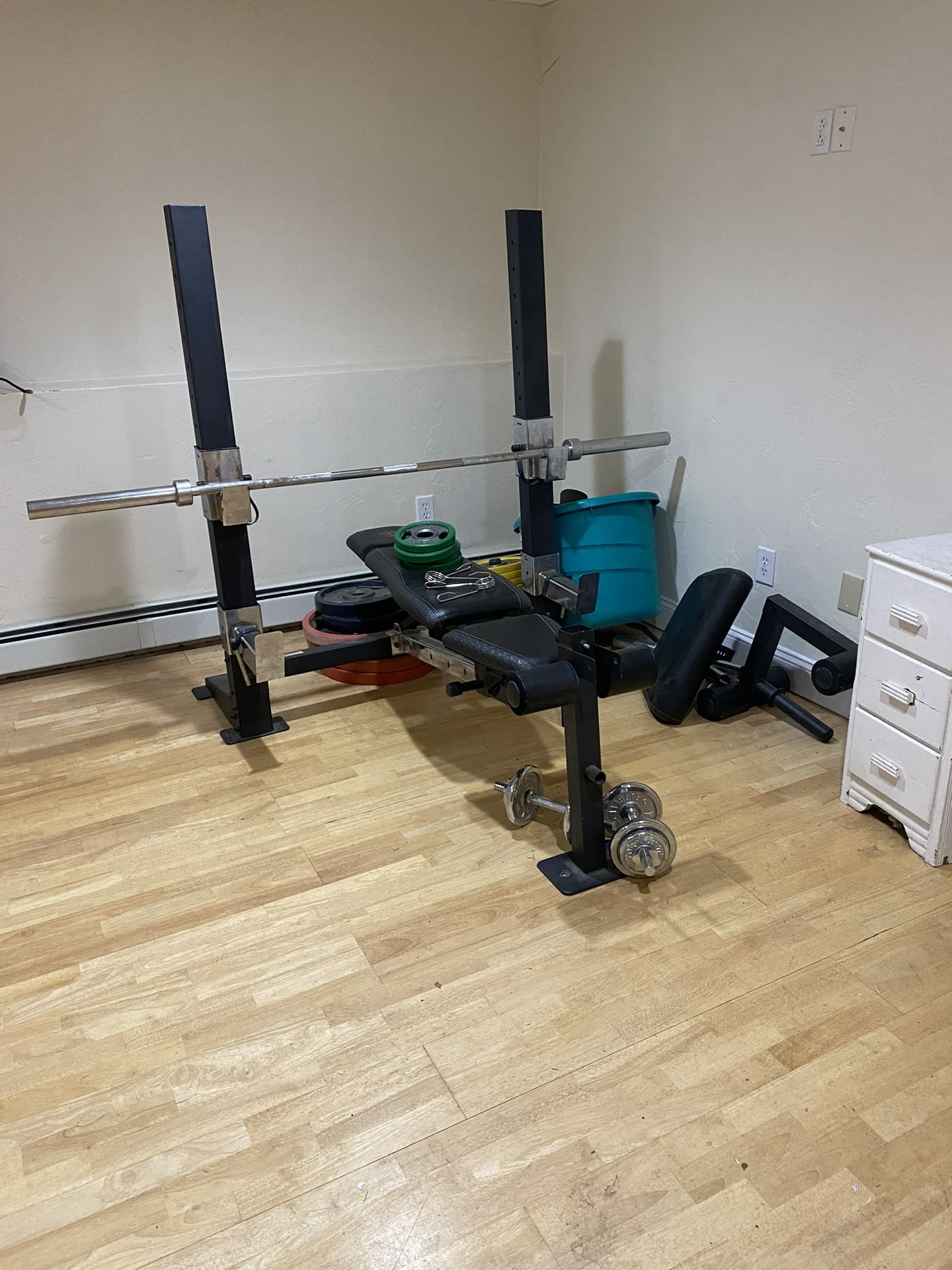 Golds Gym Weight Bench