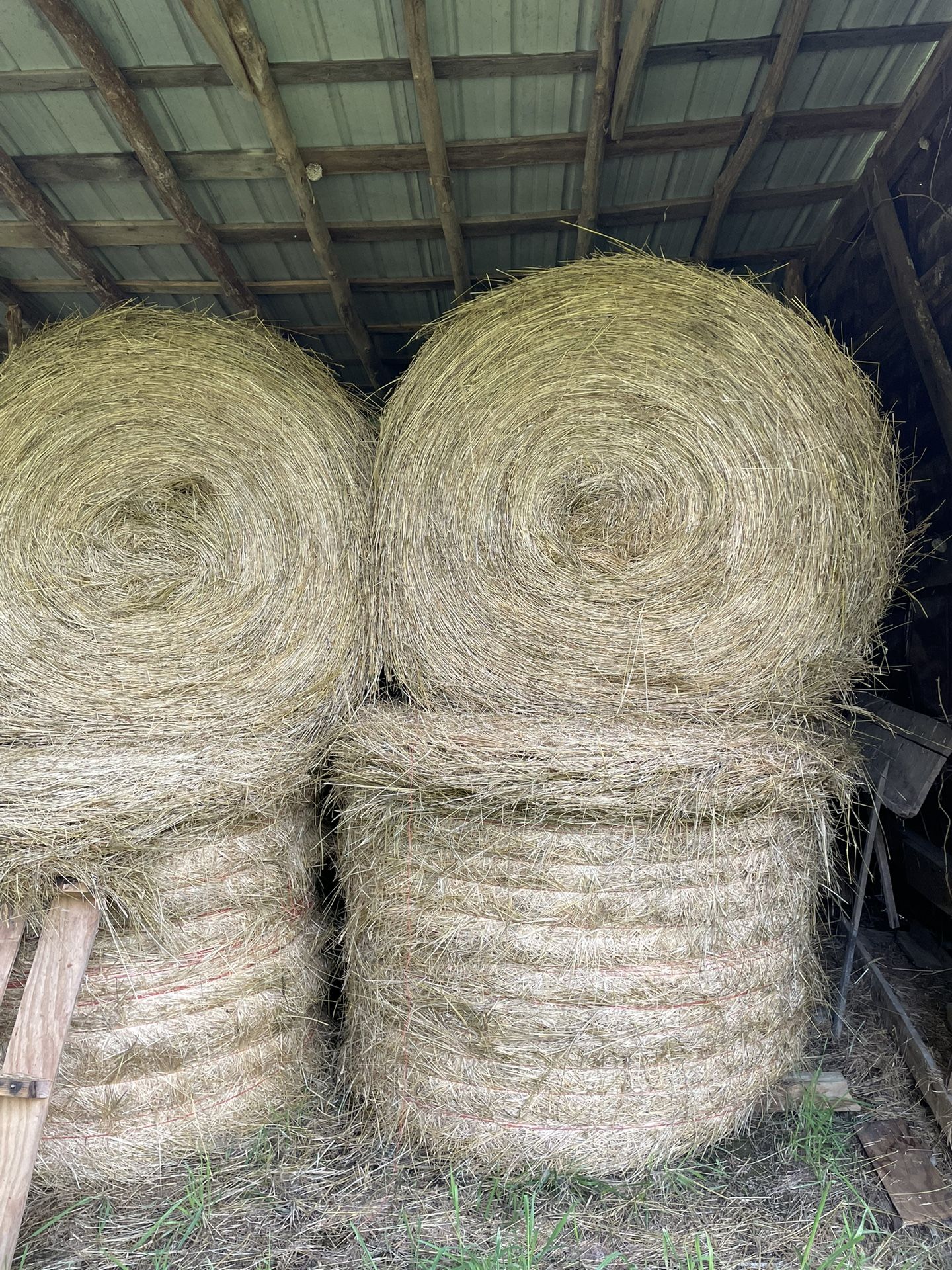 Hay