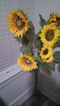 Tall Glass vase with Large Sunflowers