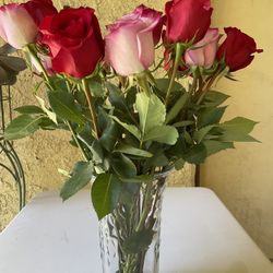 Fresh Roses $30