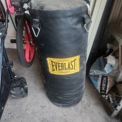 Everlast Bag 