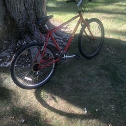 26” Mountain Bike 