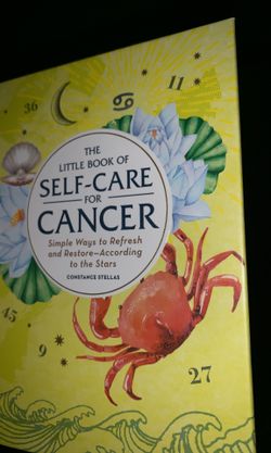 The little book of self care for cancer book