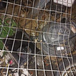 2- Pieces Of Metal Wire Fencing