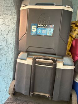 Igloo Maxcold 54 Q