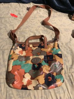 Bonita bolsa fossil