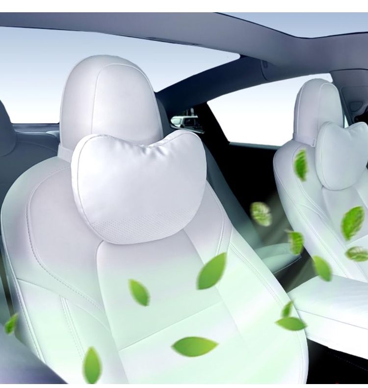 Tesla Headrest Pillows