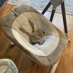 Ingenuity Baby Swing 