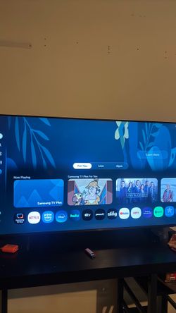 Samsung 50 inch TV