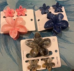 Hairclips set