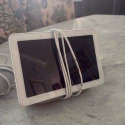Goggle Home Nest/Mini