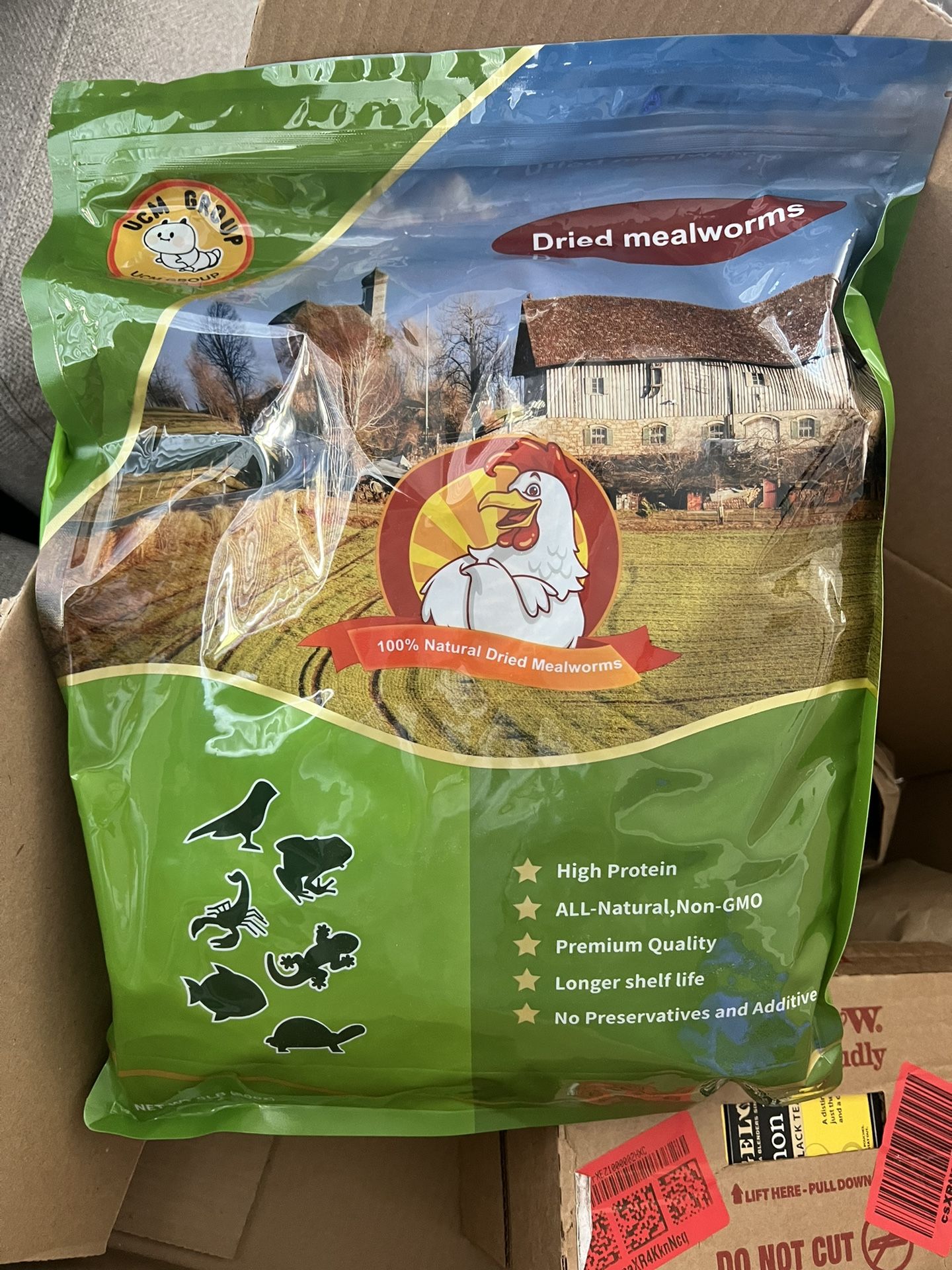 Dried Meal Worms