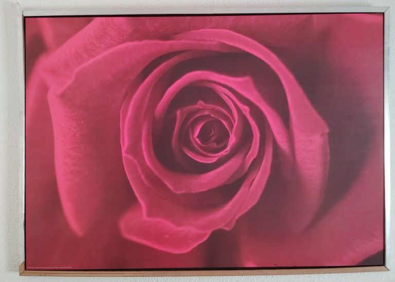 Rose Wall Frame