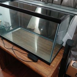 40 Gallon Fish Tank 
