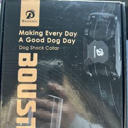 Dog Training Collar 