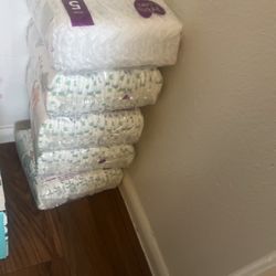 Size 5 Parents Choice Diapers 