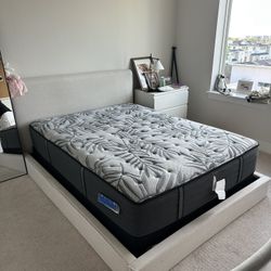 Moving Sale! Queen Size Sealy Matress And Boxspring 