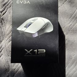 Evga X12 Wired Gaming Mouse 