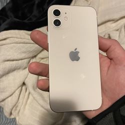 iPhone 12