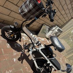 Electric Bike