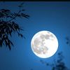 Blue Moon