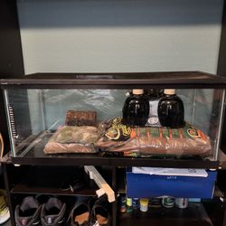 20 Gallon tank with Accessories( Included in pics)