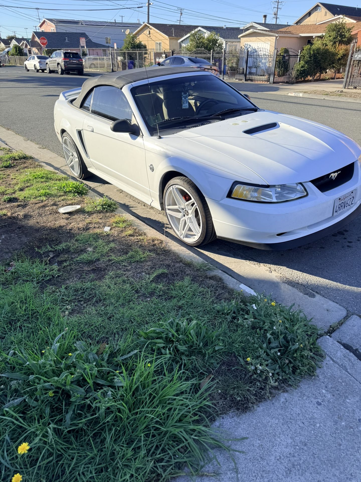 1999 Ford Mustang