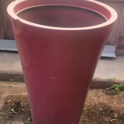 Plant Pot
