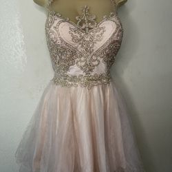 Blush Gold Dress Large Size (AS IT IS )