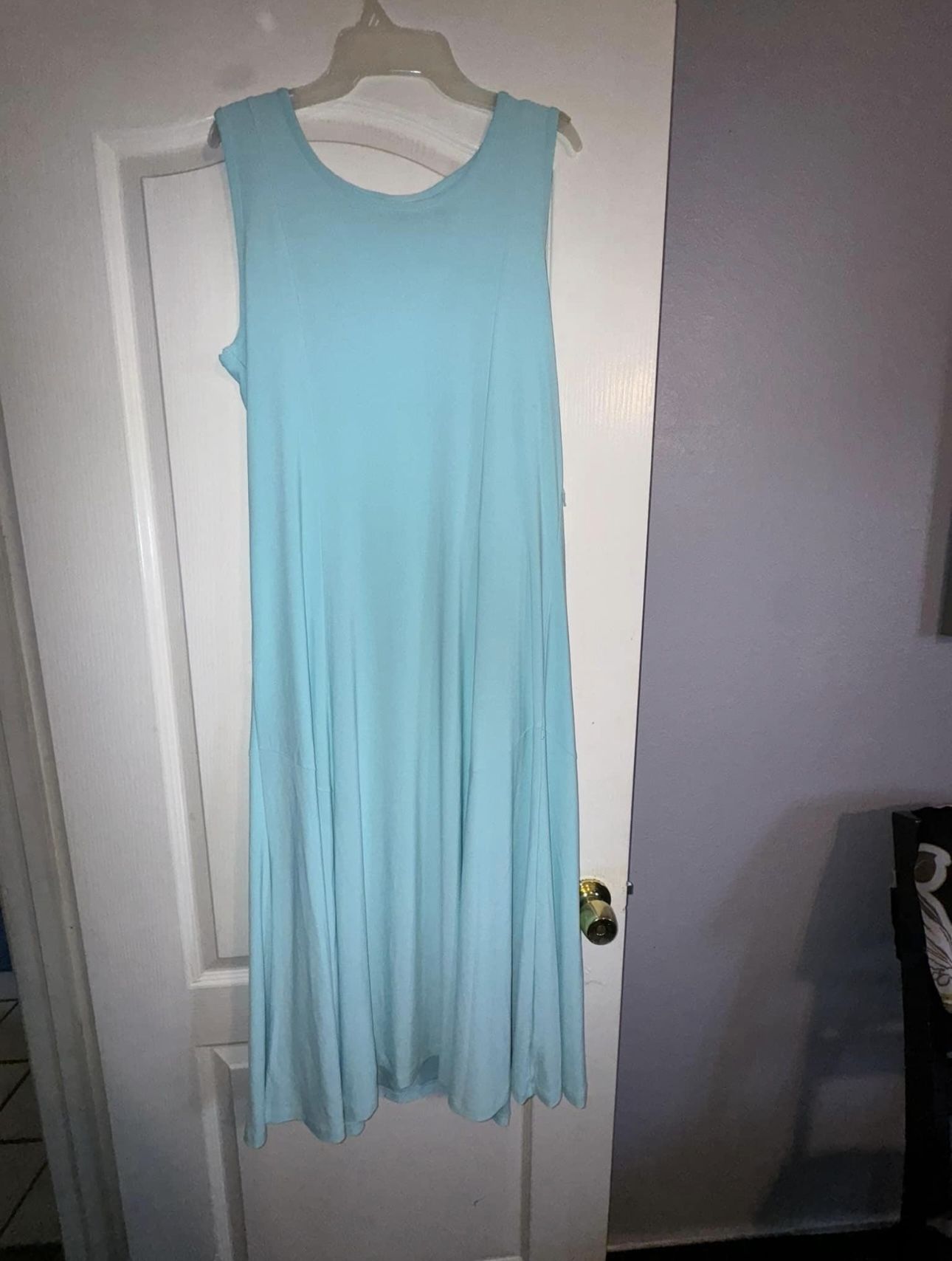 Brand New Size (Large) Dress 