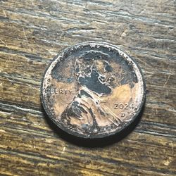 2024 D 🛡️ Penny