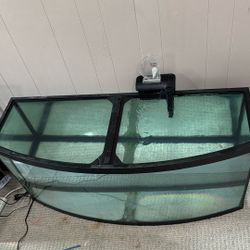 75 Gallon Tank 