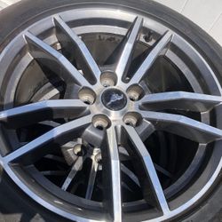 Mustang Rims